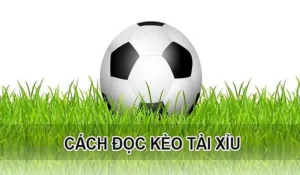 Hướng Dẫn Soi Kèo Tài Xỉu Tại 1Gom Chuẩn Chuyên Gia Năm 2026