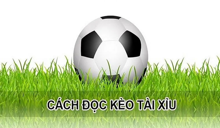 Hướng Dẫn Soi Kèo Tài Xỉu Tại 1Gom Chuẩn Chuyên Gia Năm 2026