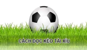 Bí Quyết Chinh Phục Kèo Tài Xỉu Hiệp 1 Tại 1Gom Từ Cao Thủ Cá Cược