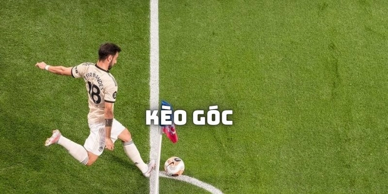 Kèo Phạt Góc Bóng Đá Tại 1Gom Phân Tích Chỉ Số Góc Chuyên Nghiệp 1 Kèo Phạt Góc Bóng Đá Tại 1Gom Phân Tích Chỉ Số Góc Chuyên Nghiệp