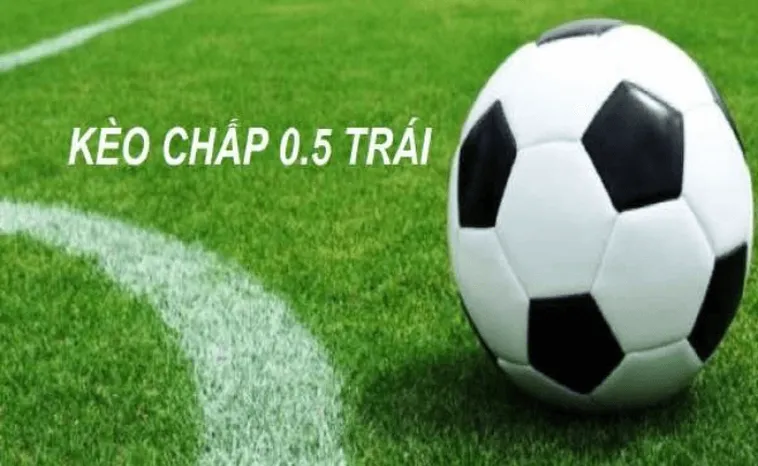 Bí Quyết Phân Tích Kèo Chấp 0.5 Tại 1Gom Giúp Tăng Tỷ Lệ Thắng Lớn