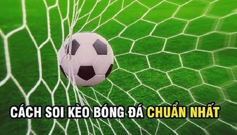 Biện Pháp Chinh Phục Kèo Rung Trong Bóng Đá Tại 1Gom Hiệu Quả Nhất Năm 2026