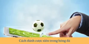 Bí Quyết Chiến Thắng Kèo Xiên Trong Bóng Đá Tại 1Gom Cho Người Mới Bắt Đầu